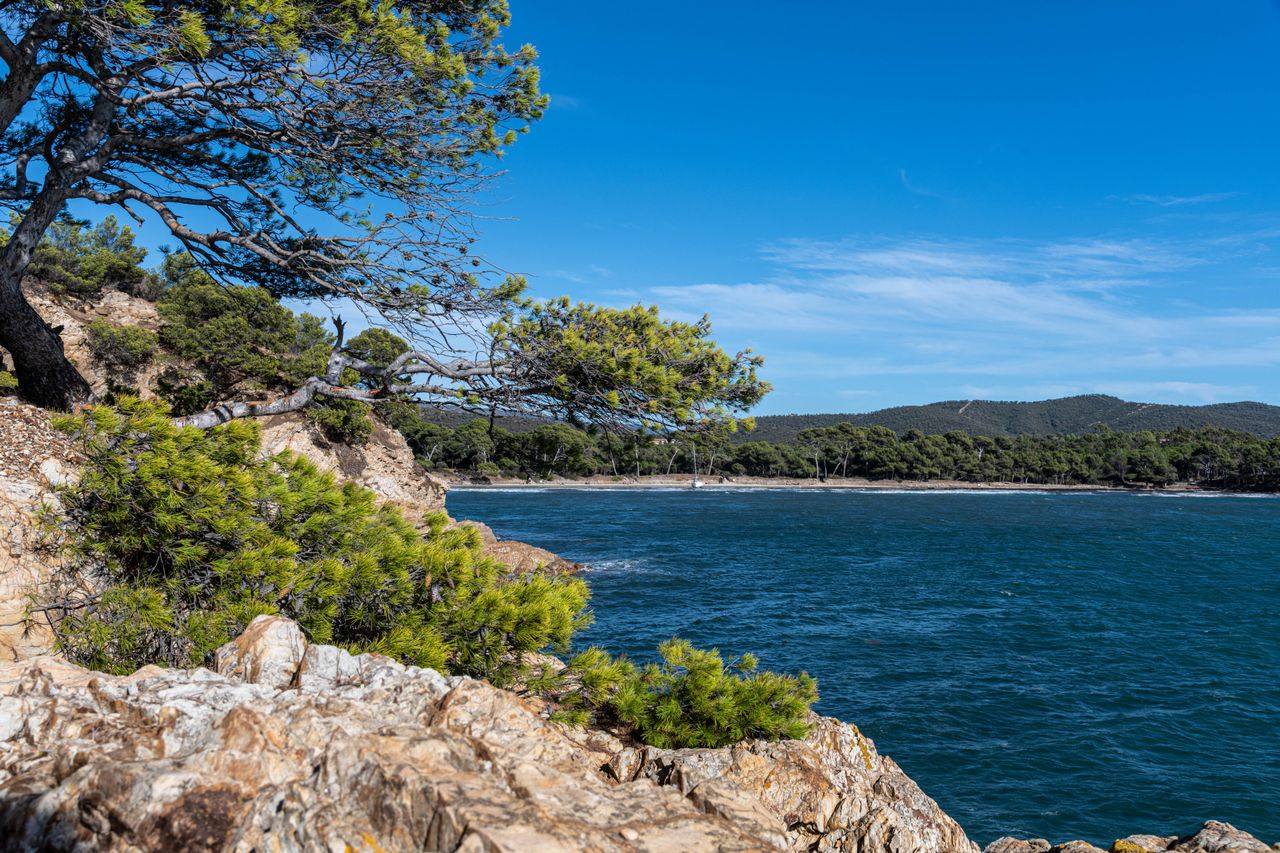 Port-Cros : 3 bonnes raisons de découvrir cette île près d’Hyères